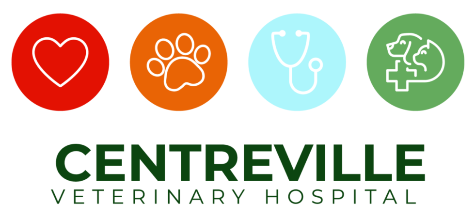 Best Veterinary Hospital In Wilmington, DE